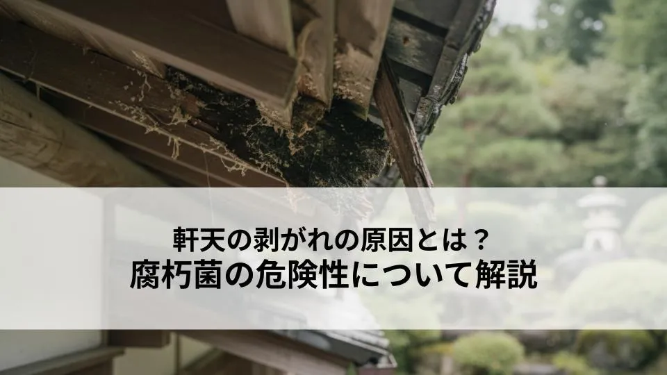 軒天の剥がれの原因と腐朽菌の危険性とは？