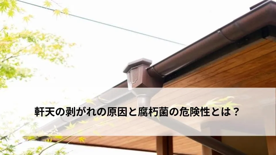 軒天の剥がれの原因と腐朽菌の危険性とは？