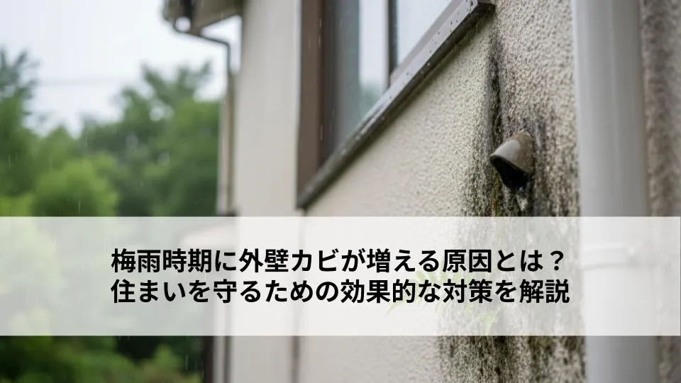 梅雨時期に外壁カビが増える原因とは？住まいを守るための効果的な対策を解説