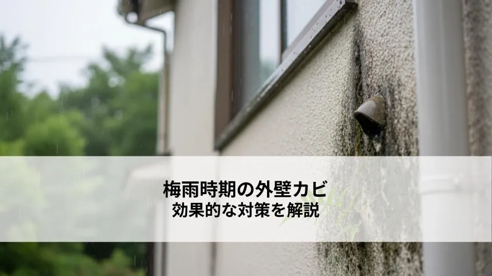 梅雨時期に外壁カビが増える原因とは?住まいを守るための効果的な対策を解説